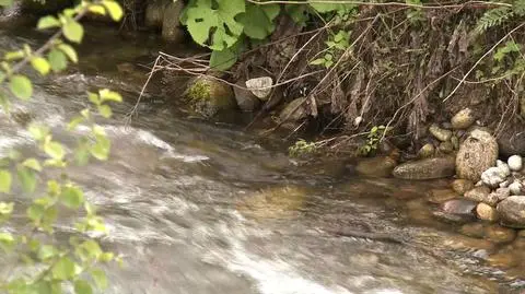 30-latek porwany przez nurt. Wyłowiony 3 km dalej