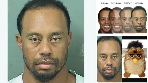 Mugshot Tigera Woodsa. Zdjęcie z aresztu Tigera Woodsa