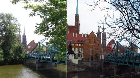 Wycięli aż 30 tysięcy drzew we Wrocławiu? Prezydent Dutkiewicz się tłumaczy