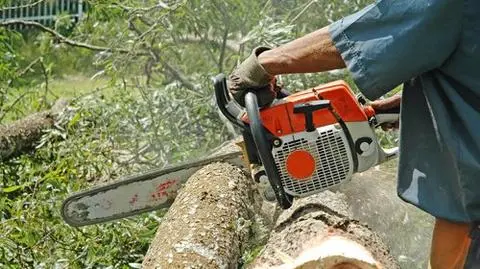 Samobójstwo przez obcięcie głowy