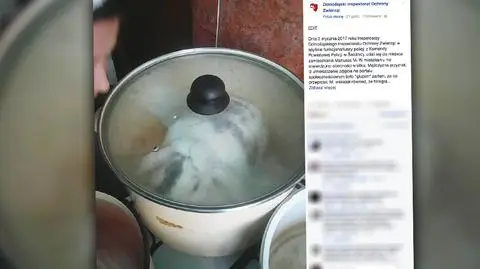 Królik w garnku na Facebooku. "To był głupi żart"