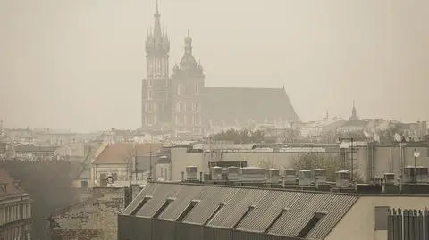 Uchwala antysmogowa dla Małopolski? Dziś głosowanie