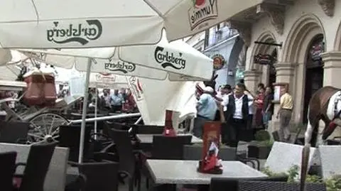 Konie wjechały w ogródek