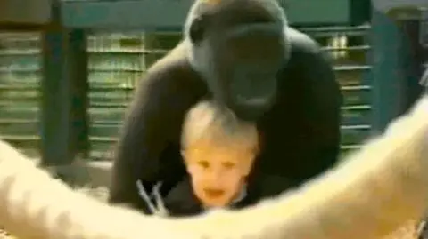Roczne dziecko w objęciach goryla. Film sprzed 22 lat
