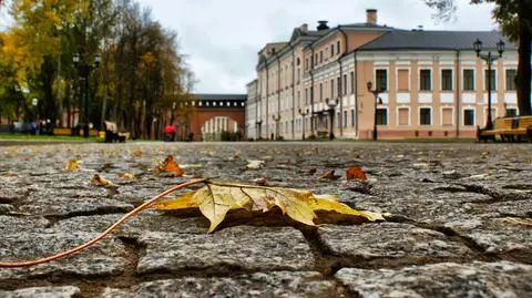 Pogoda na dziś: wietrznie i pochmurno, lokalnie popada deszcz