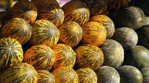 500 melonów ma pomóc Hiszpanom pokonać Irlandię