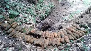 Saperzy zabezpieczyli niewybuchy