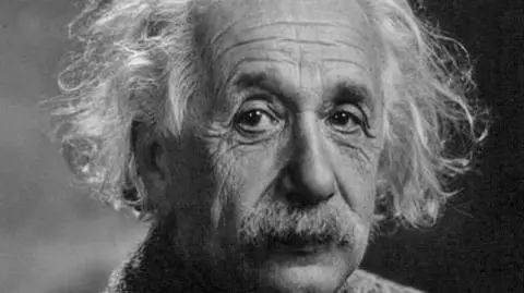Nietypowy dar. Próbki mózgu Einsteina