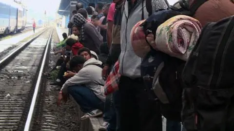 Jak Polacy przyjmą uchodźców?