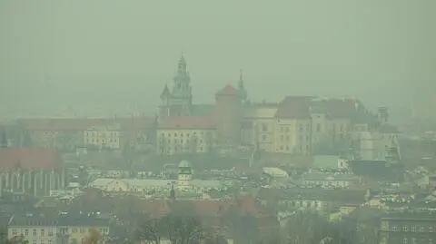 Smog na Śląsku. Miasta walczą o czyste powietrze