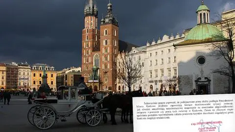 Dorożki na Rynku to "skaza na wizerunku Krakowa"? Urząd odpowiada
