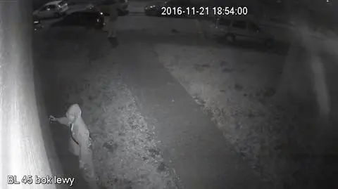 Kraków. Zakochany grafficiarz w rękach policji