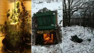 Konopie indyjskie w ziemiance