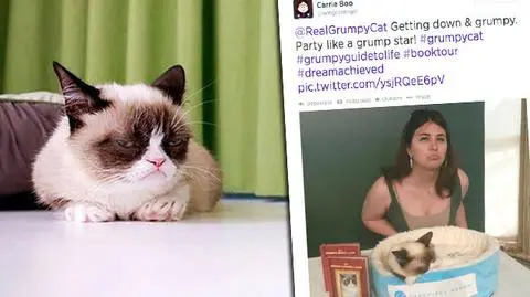 "Król internetu" wydał nową książkę. 
Grumpy Cat: jak nie być szczęśliwym