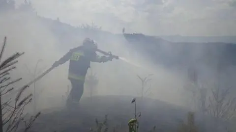 Pożar lasu w Sudetach