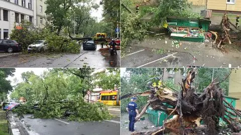 Powalone drzewa, zerwane dachy, zniszczone samochody. Czwartkowe burze
