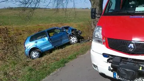 Samochód uderzył w drzewo. Kobieta zginęła na miejscu