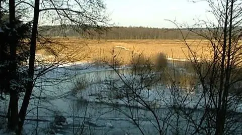 Rospuda: reaktywacja?