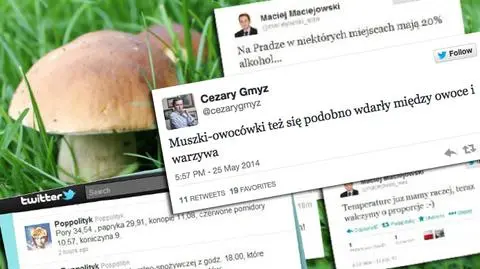 Grzybobranie, warzywny bazar, biegi żużlowe. Jak internauci omijają ciszę wyborczą