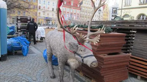 Rynek (ma być) jak z bajki