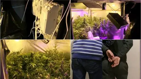 W domu rodziców produkował narkotyki