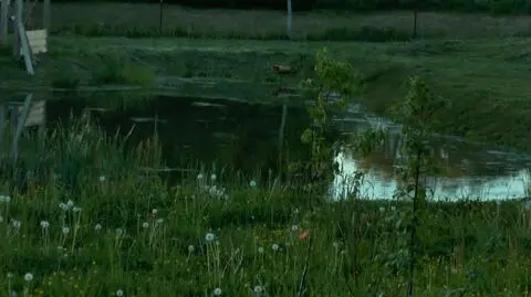 Warmia i Mazury. W przydomowych stawach utonęło dwoje dzieci