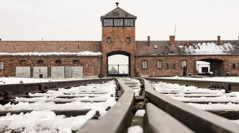 The American citizen who tried to steal a screw from rail tracks in Auschwitz admitted his guilt