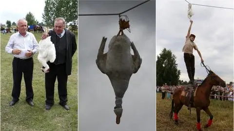 Królem zostanie ten, 
kto urwie łeb kaczorowi