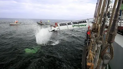 Greenpeace topił głazy w morzu. 
Chcą uprzykrzyć życie kłusownikom