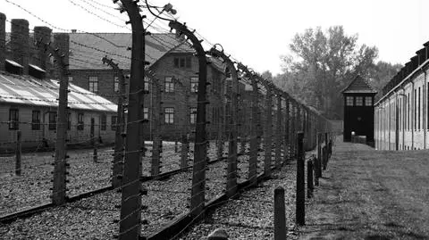 W niemieckim obozie koncentracyjnym Auschwitz zginęło ponad milion ludzi