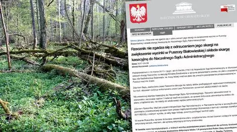 Wycinka w Puszczy Białowieskiej. RPO składa kasację