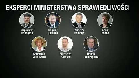 Kto przygotował ekspertyzy?