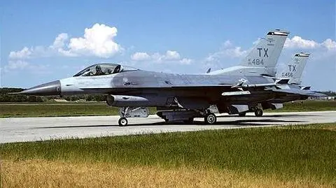 Polskie jastrzębie, czyli szare nieloty