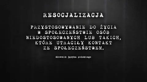 Resocjalizacja w polskich więzieniach