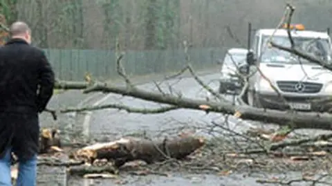 Wiatr 160 km/h. Ofiary, chaos
 i tysiące rodzin bez prądu