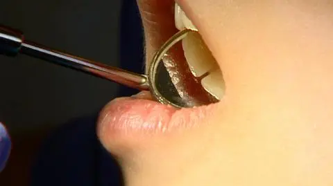 Dentysta pierwszego kontaktu