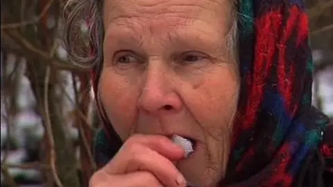 Nie mają na chleb. Dostali karę za gałęzie z lasu