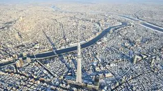 Rząd w Tokio twierdzi, że nie jest zainteresowany szpiegowaniem