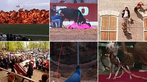 Pogoń za rodzącą kobietą kontra najbrzydszy pies świata. Zobacz najlepsze wideo ostatniego tygodnia