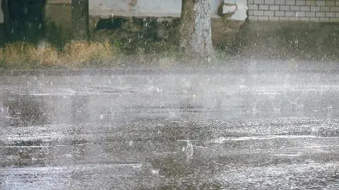 Ulewny deszcz, silny wiatr. IMGW może wydać alerty
