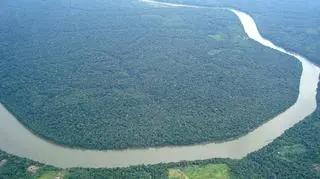 Wobec społecznego sprzeciwu rząd ustępuje w sprawie Amazonii