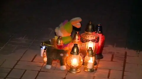 Jędrzejów. 16-miesięczna dziewczynka wypadła z okna