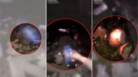 Podpaliły jeża. Sąd nie miał wątpliwości, że doszło do znęcania się (wideo archiwalne)