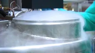 Do parlamentarzystów wpłynął apel naukowców przeciwko wprowadzeniu in vitro