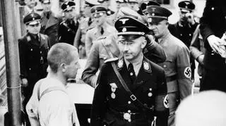 Himmler wyobrażał sobie, że komary pomogą mu pokonać wrogów