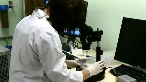 Dziecko z DNA trzech osób? Brytyjczycy mogą być pierwsi