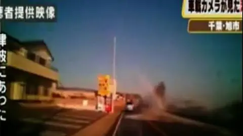 Przetrwał falę tsunami