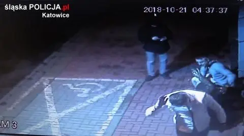 Katowice. Uszkodzili rzeźbę, mężczyzn szuka policja