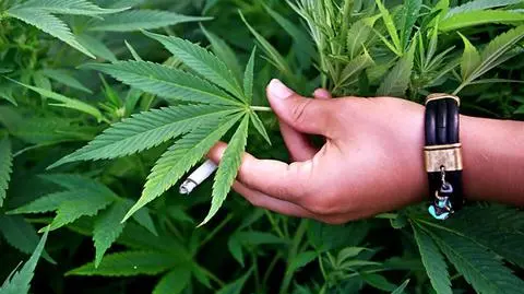 Kolorado będzie celem migracji?