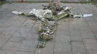 Wrak samolotu nadal znajduje się w Smoleńsku
